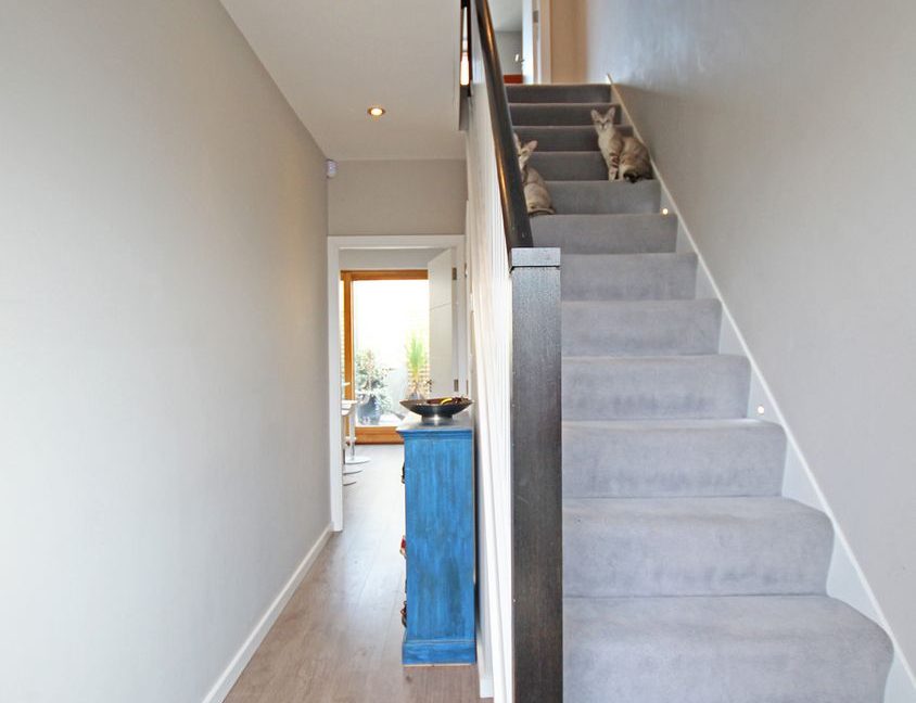 1374201-large-10.jpg