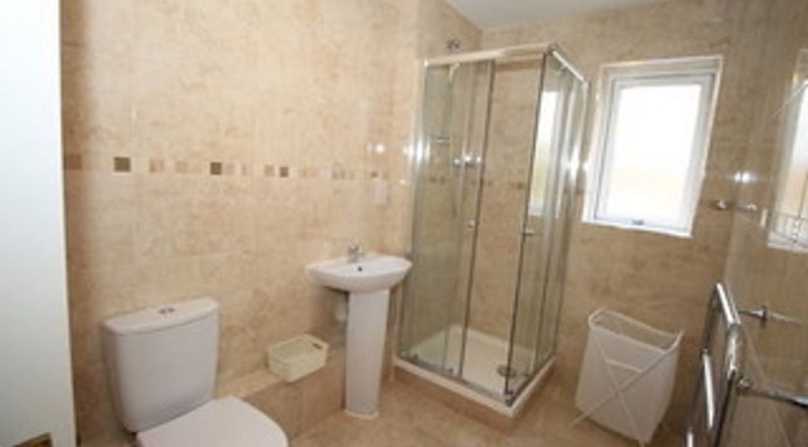 1373729-large-3.jpg