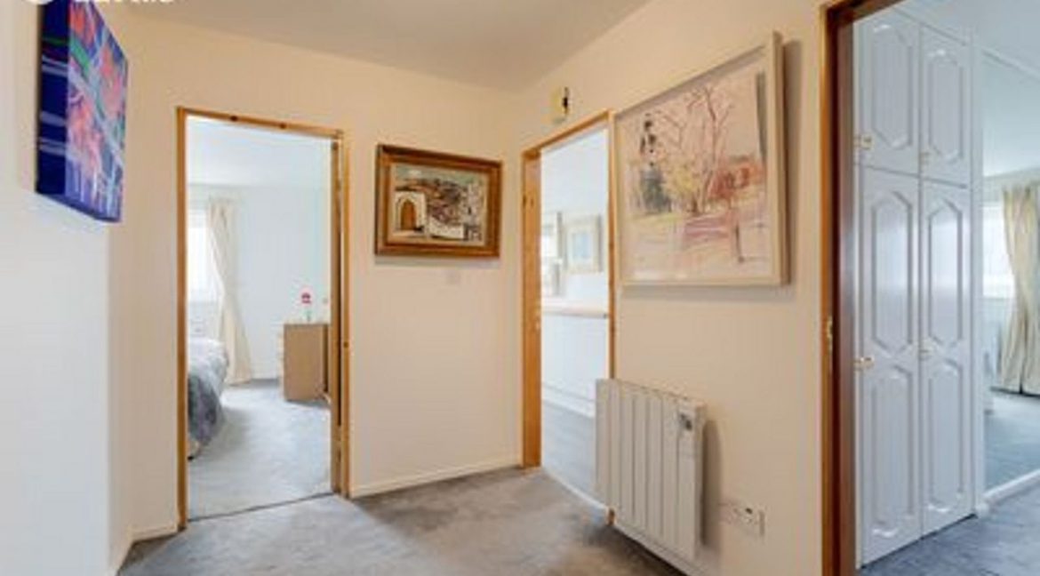 1371205-large-23.jpg