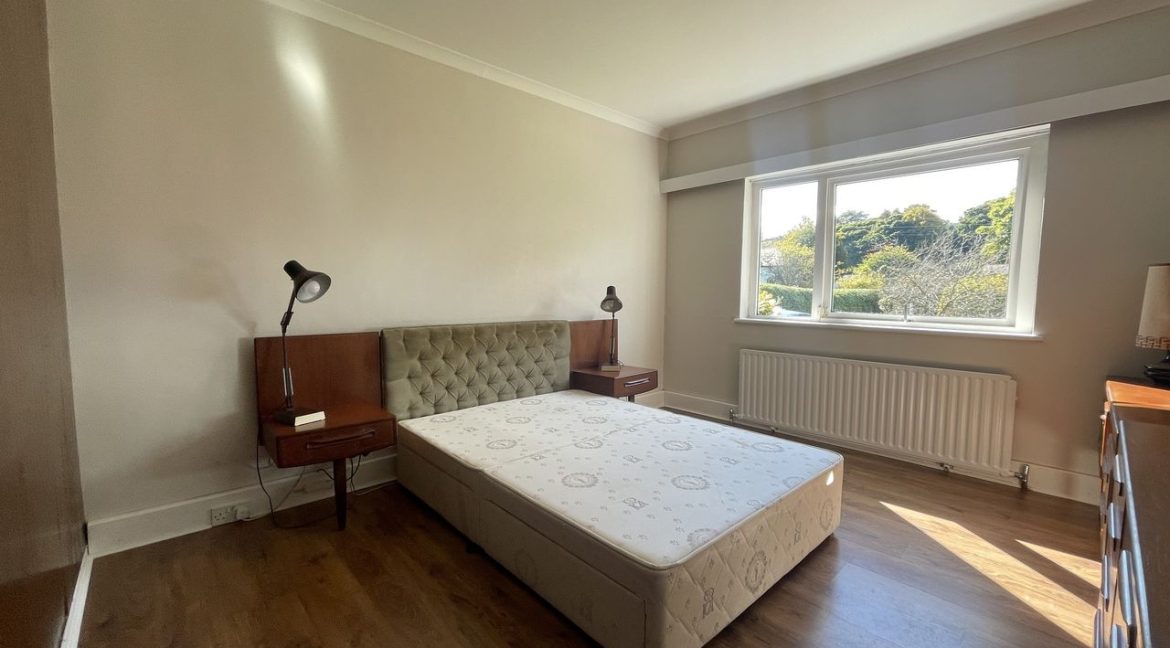 1371864-large-6.jpg