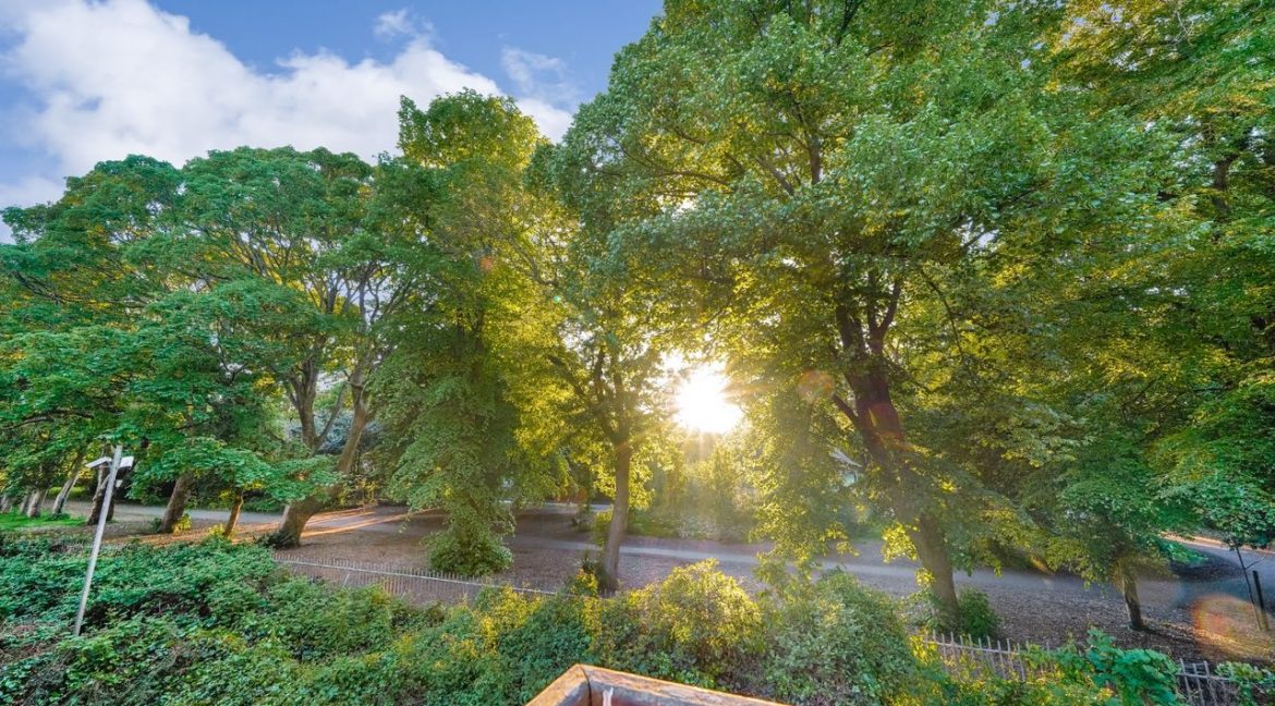 Bespoke Estate Agents Dublin | Apartment 11,The Cedars,Herbert Park Lane,Anglesea Road,Dublin 4 Image Caption 1373494-large-41.jpg