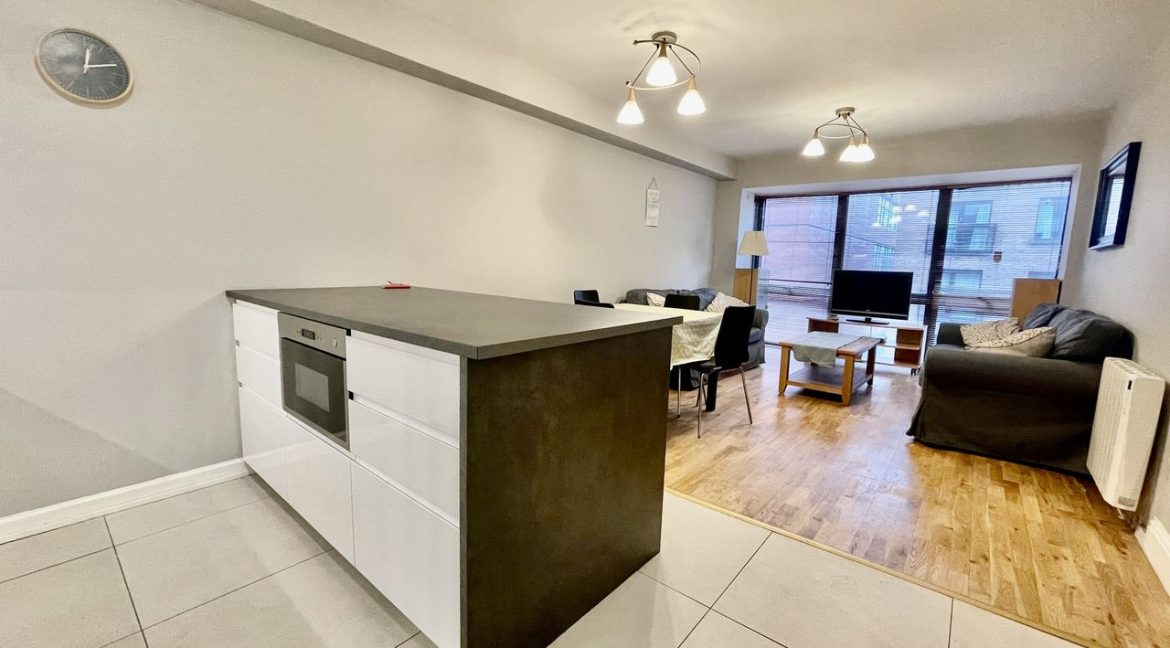 Bespoke Estate Agents Dublin | Apartment 37,Trinity Plaza,Tara Street,Dublin 2 Image Caption 1383873-large-4.jpg