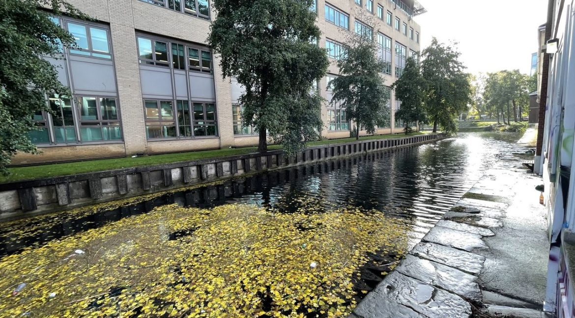 Bespoke Estate Agents Dublin | 17 Clanwilliam Terrace Image Caption 515385-large-5.jpg