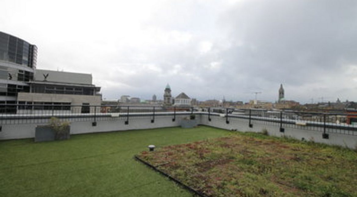 Bespoke Estate Agents Dublin | Apartment 3, Oxmanstown Lofts Image Caption 784602-large-15.jpg