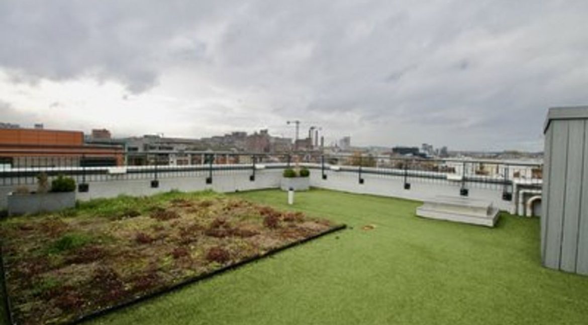 Bespoke Estate Agents Dublin | Apartment 3, Oxmanstown Lofts Image Caption 784602-large-16.jpg