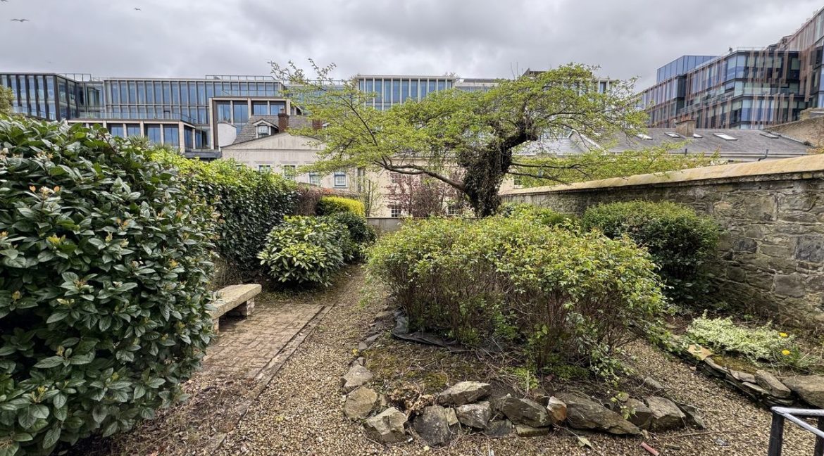 Bespoke Estate Agents Dublin | 3 Fitzwilliam Place Image Caption 1282192-large-8.jpg