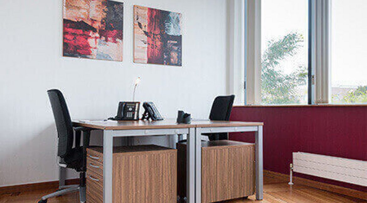 22766-large-3.jpg