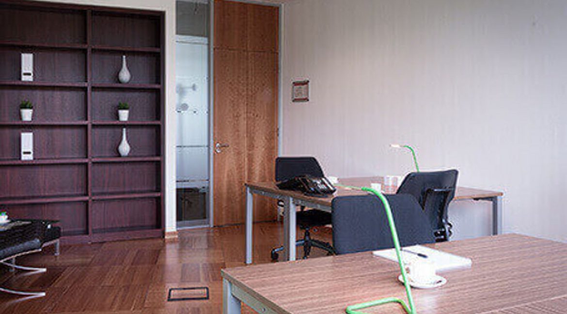 22766-large-5.jpg