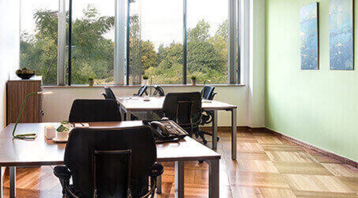 22766-large-7.jpg