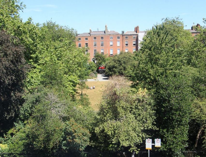 47292-large-1.jpg