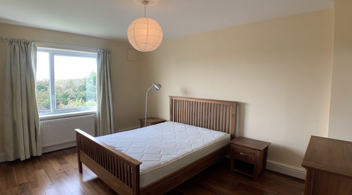 625233-large-6.jpg