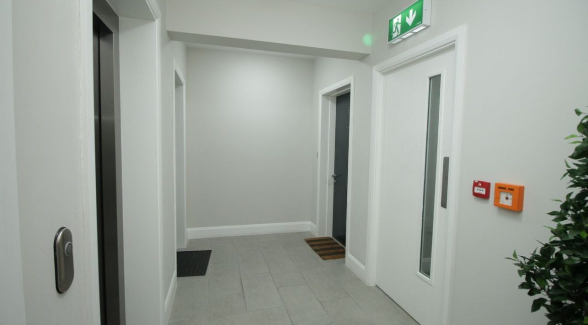 1366455-large-17.jpg