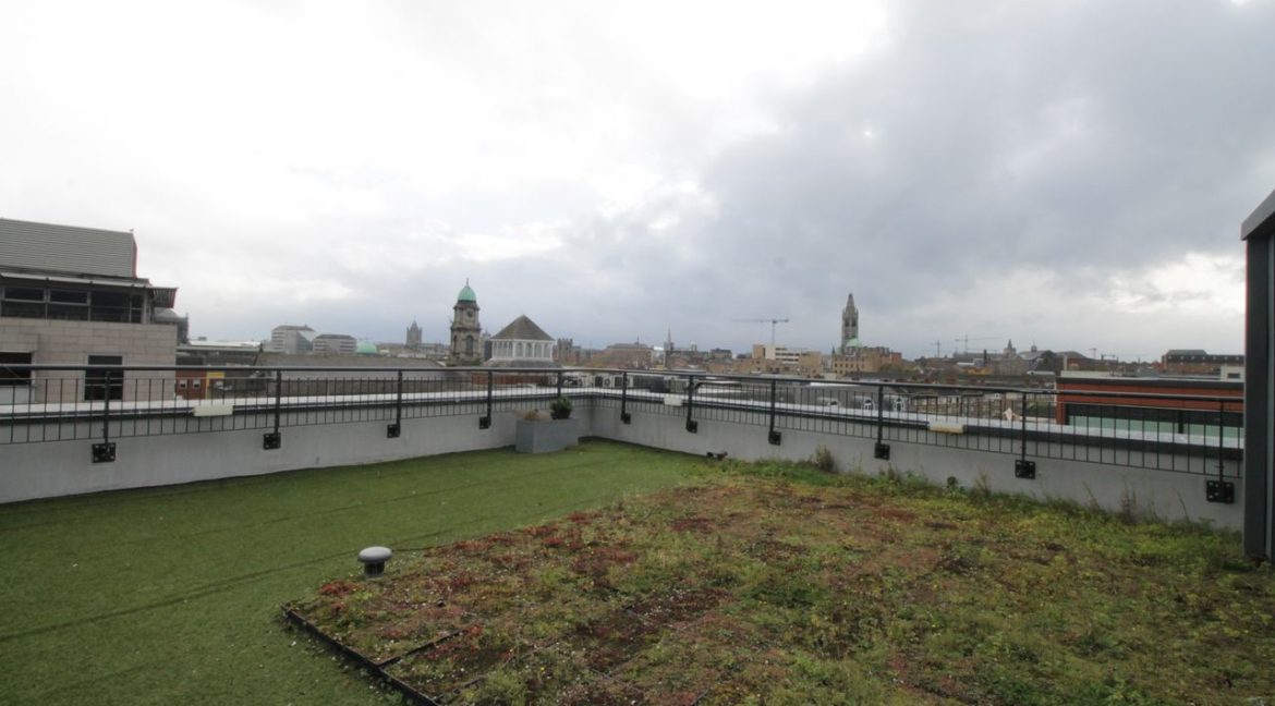 1366455-large-18.jpg