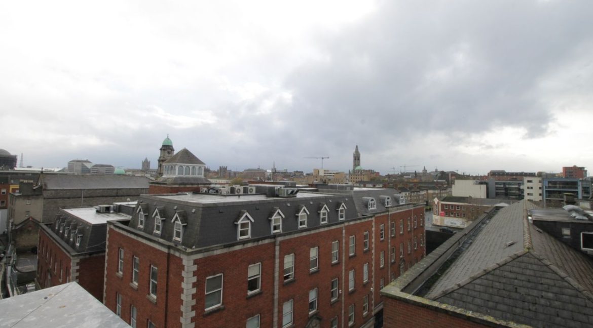 1366455-large-19.jpg