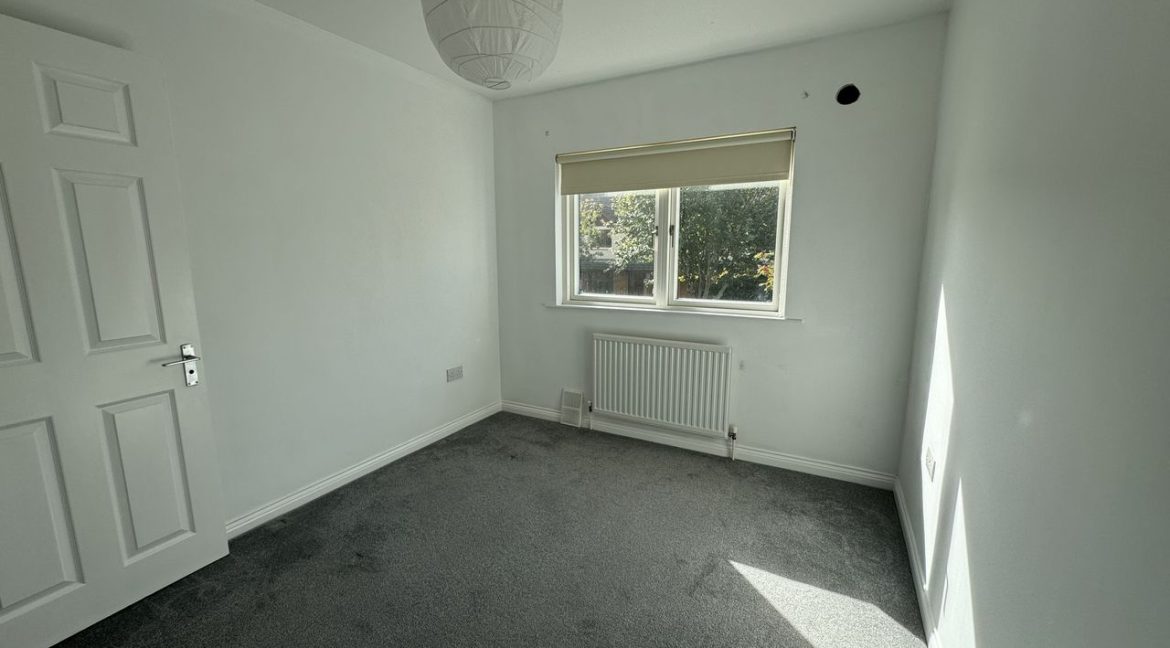 1371895-large-14.jpg