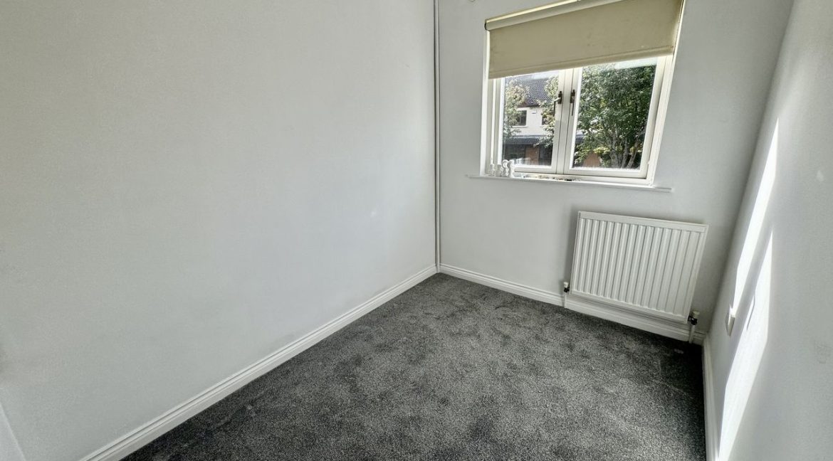 1371895-large-15.jpg